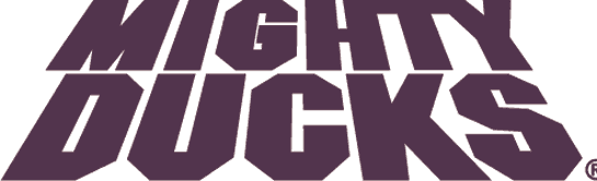 Mighty Ducks of Anaheim 1993-2006 Wordmark Logo iron on transfers for T-shirts